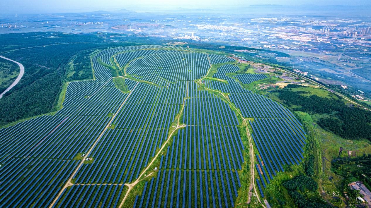 阜新華能午陽(yáng)光伏電站。吳大偉 攝