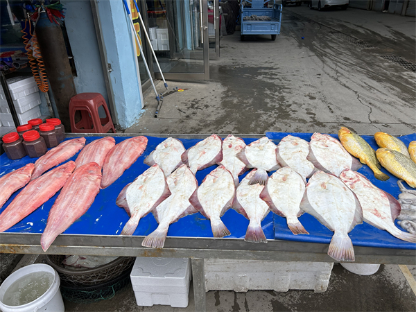 （待審核）面朝大海，丹東經(jīng)濟(jì)破浪前行_fororder_遼寧行-張桐1