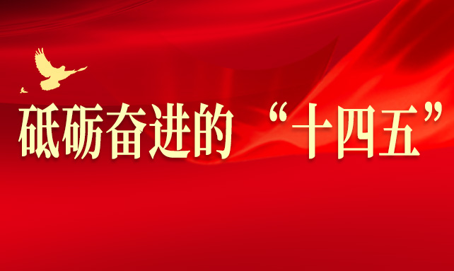 砥礪奮進(jìn)的 “十四五”