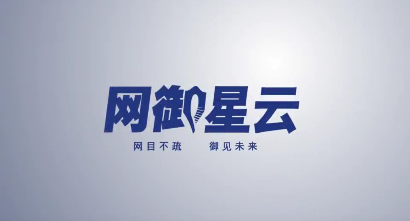 網(wǎng)御星云公司簡(jiǎn)介